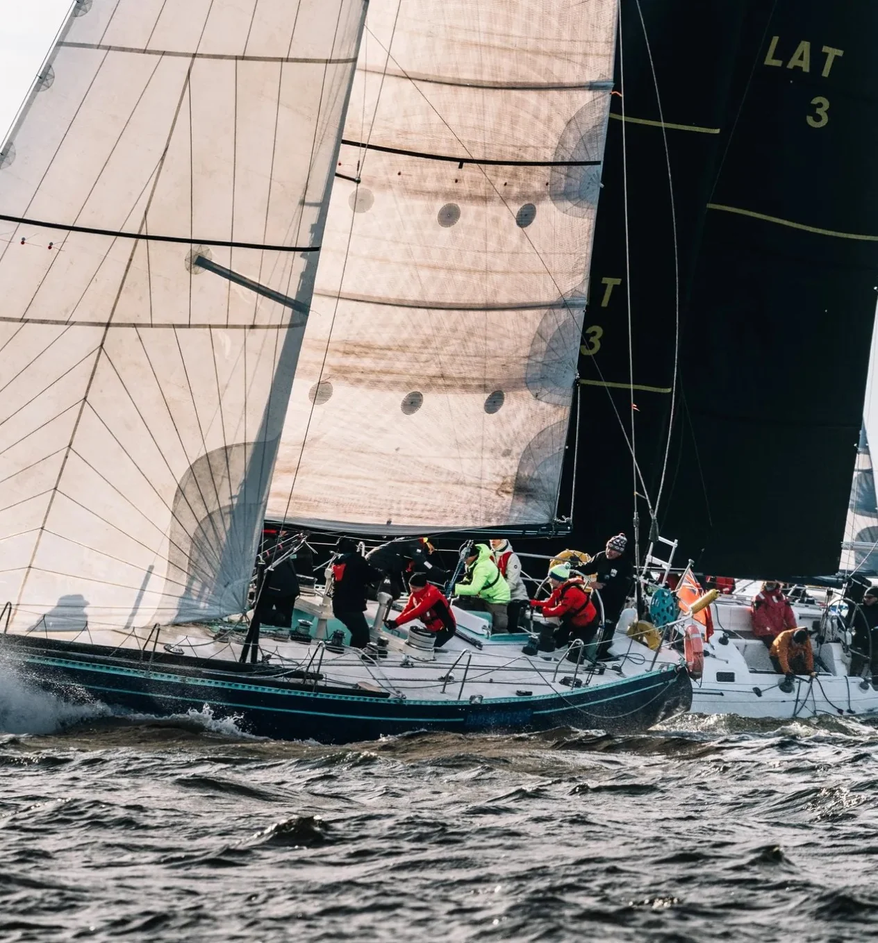 World of Love — foto 5